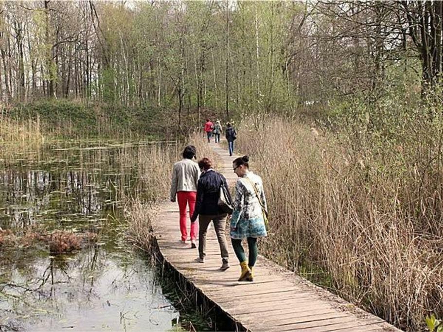 Villa Kempen-Broek Weert Exteriör bild
